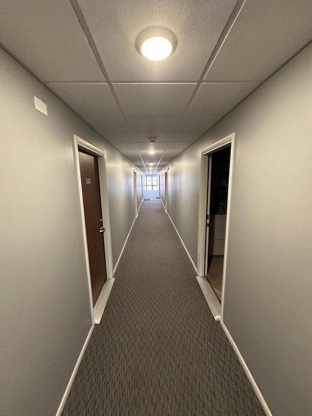 hall with baseboards, a paneled ceiling, and carpet