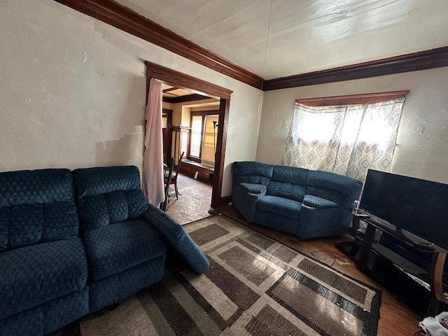 living area featuring ornamental molding