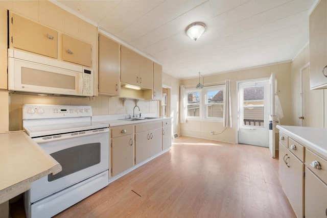 kitchen with white appliances, ornamental molding, a sink, light countertops, and light wood-style floors