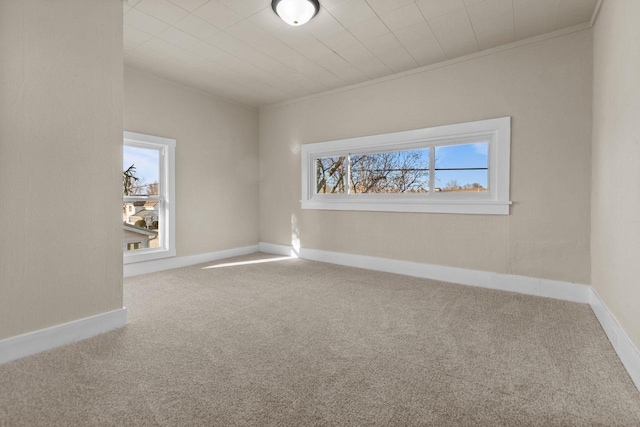 unfurnished room featuring crown molding, plenty of natural light, baseboards, and carpet floors