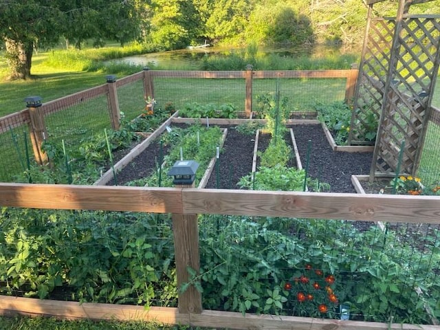 view of yard with a vegetable garden and fence