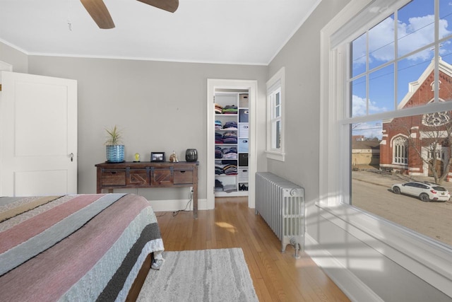 bedroom with baseboards, radiator heating unit, wood-type flooring, a walk in closet, and crown molding