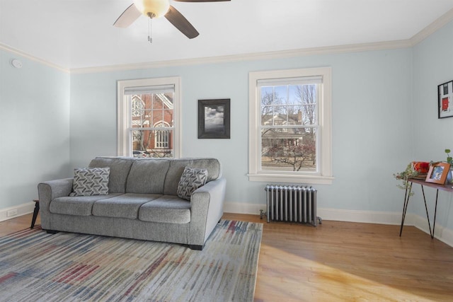 living room featuring light wood finished floors, radiator, crown molding, baseboards, and ceiling fan