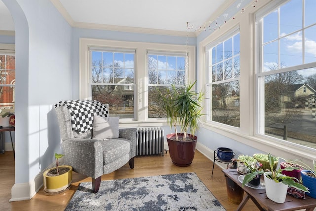 sunroom with radiator and arched walkways