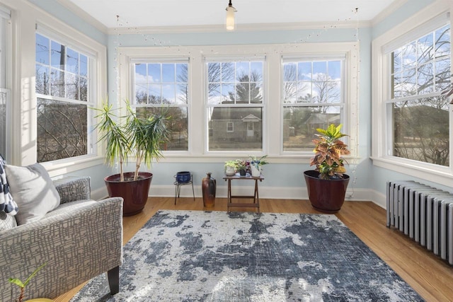 sunroom / solarium featuring radiator