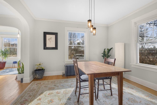 dining room with radiator, baseboards, ornamental molding, light wood-style floors, and arched walkways