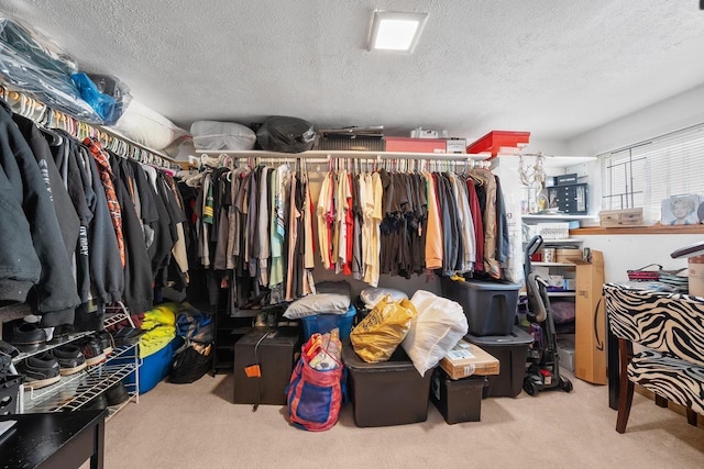 spacious closet featuring carpet flooring