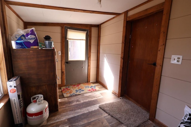 interior space with wood walls and wood finished floors