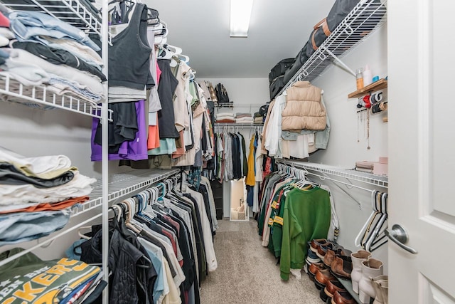 walk in closet with carpet floors