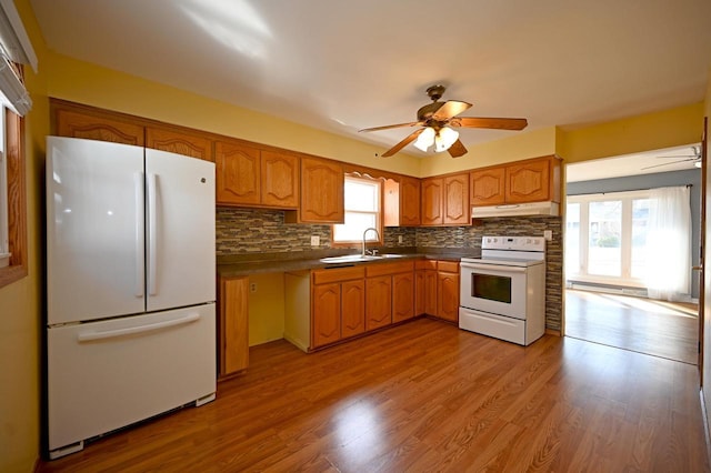 kitchen featuring white appliances, wood finished floors, ceiling fan, a sink, and under cabinet range hood