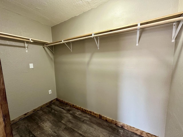 spacious closet with dark wood-style floors