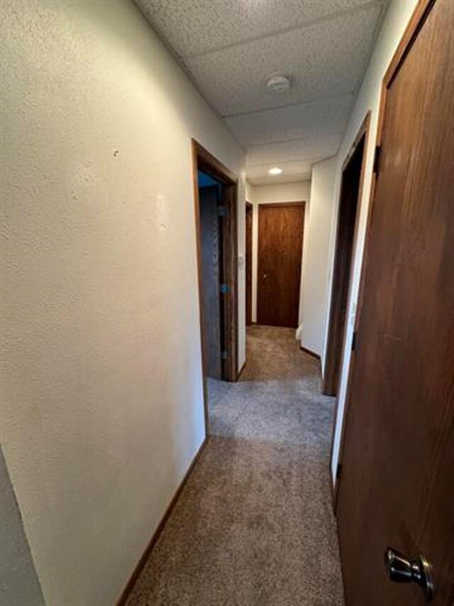 hallway featuring carpet flooring