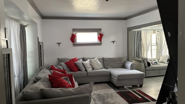 living area with wood finished floors and crown molding