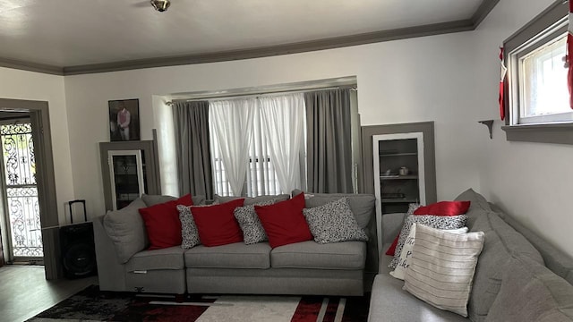 living area featuring crown molding and wood finished floors