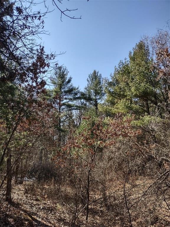 Listing photo 2 for LOT18 Whitetail Ct, Black River Falls WI 54615