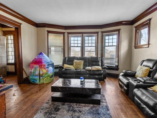 living room featuring ornamental molding, baseboards, and wood-type flooring