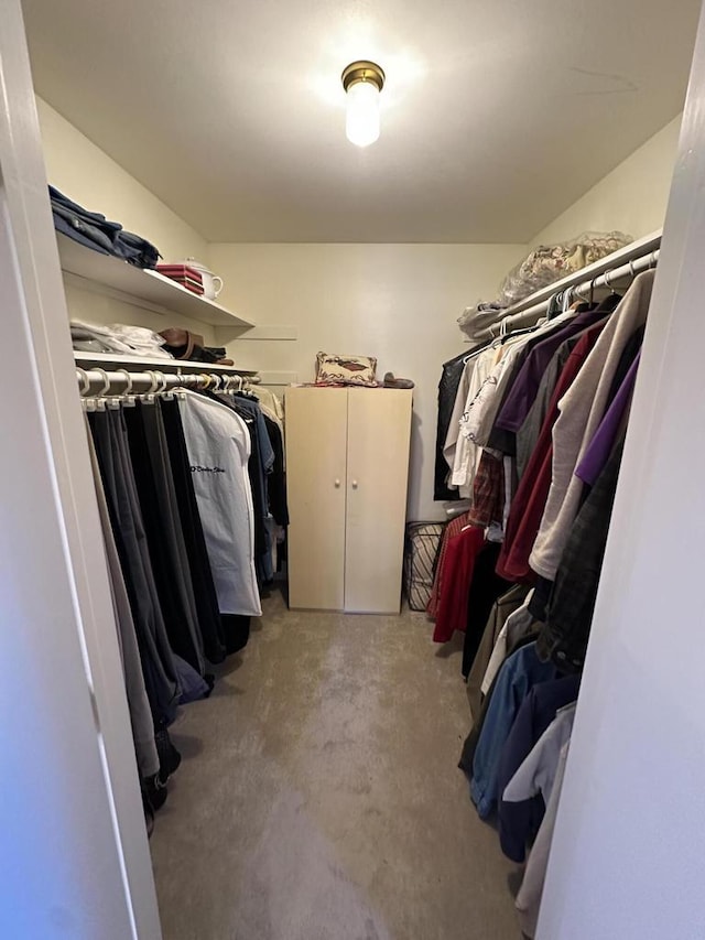 view of spacious closet