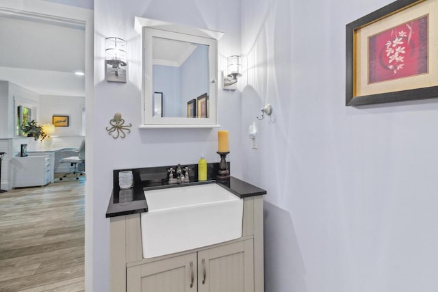 bathroom with wood finished floors and vanity