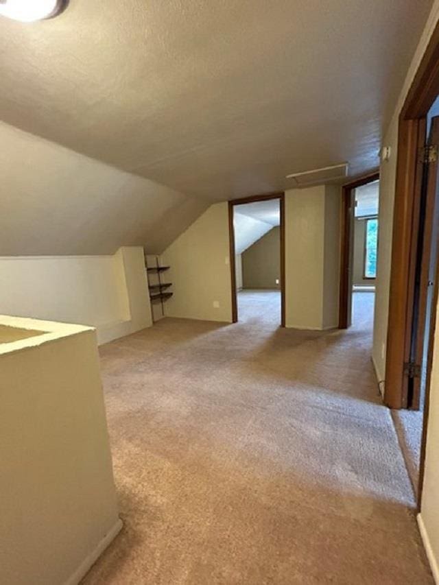 additional living space with light colored carpet, a textured ceiling, and vaulted ceiling