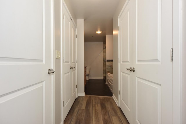 corridor featuring dark wood finished floors