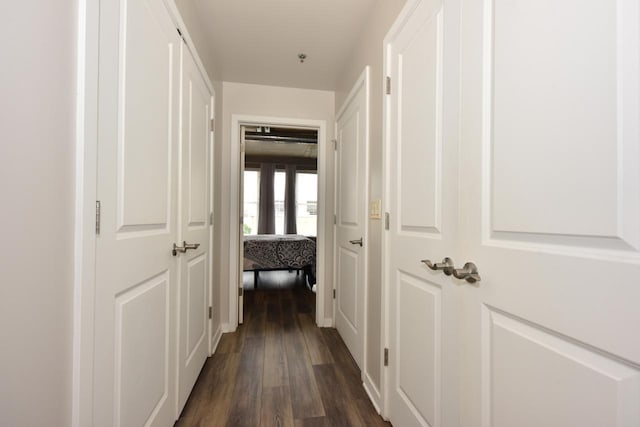 corridor featuring dark wood finished floors