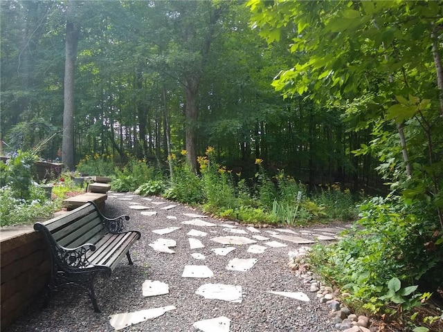 view of property's community featuring a view of trees