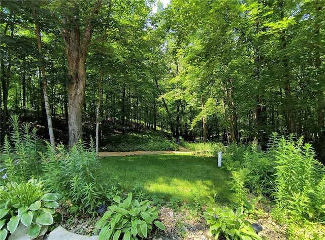 view of landscape with a wooded view