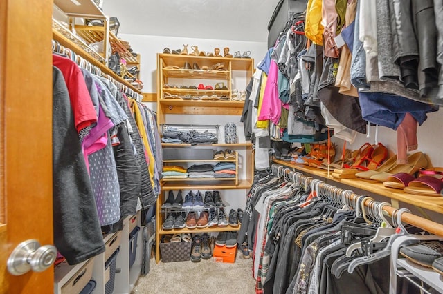 walk in closet with carpet