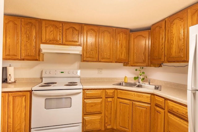 kitchen with under cabinet range hood, a sink, white appliances, brown cabinetry, and light countertops