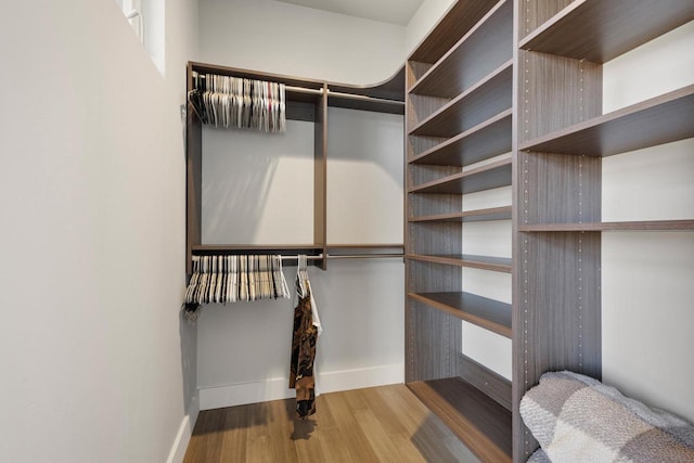 walk in closet with wood finished floors