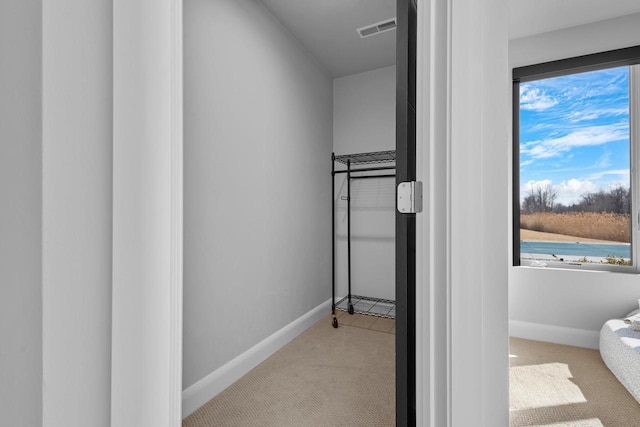 walk in closet featuring visible vents and carpet flooring