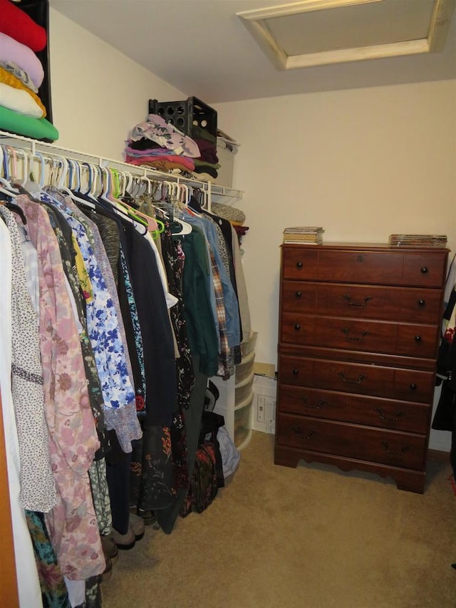 spacious closet with attic access and carpet