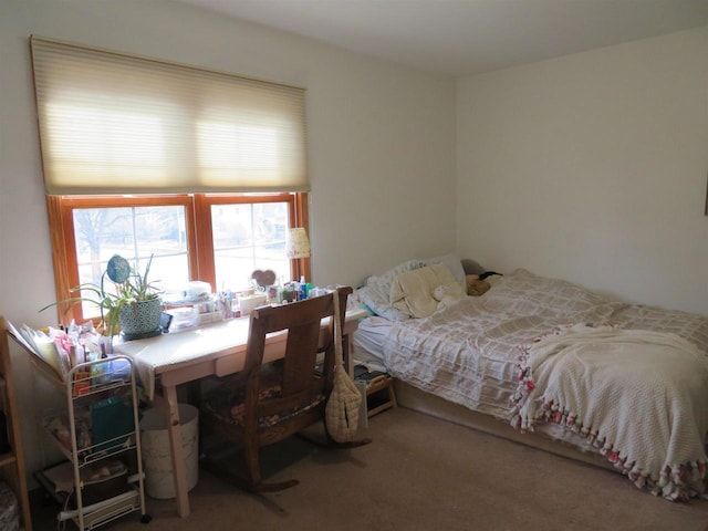 bedroom featuring carpet floors