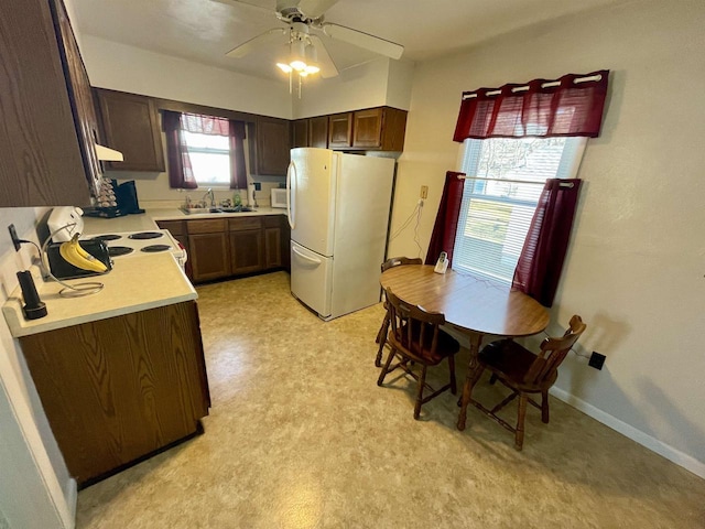 kitchen with white appliances, ceiling fan, a sink, light countertops, and dark brown cabinetry