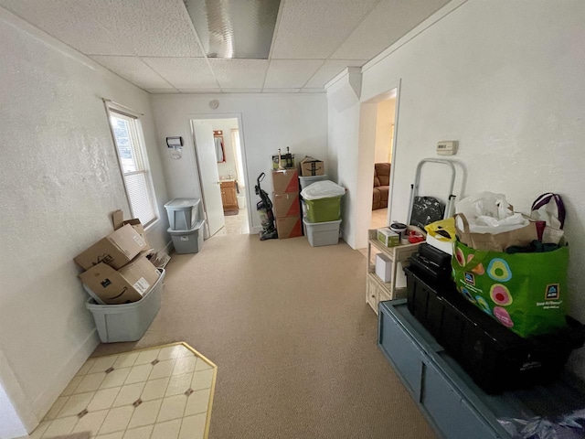 interior space featuring a drop ceiling and carpet floors