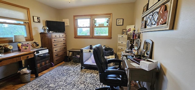 office featuring wood finished floors