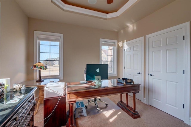 office space featuring light colored carpet, crown molding, and a tray ceiling