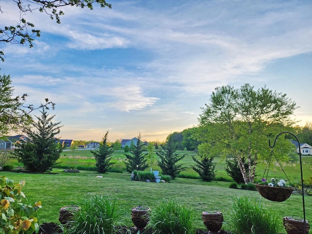 view of yard at dusk