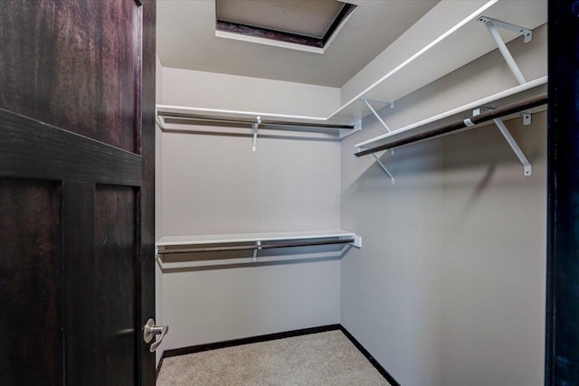 walk in closet with carpet flooring