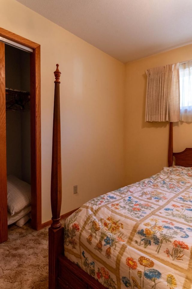 carpeted bedroom with a closet and a walk in closet