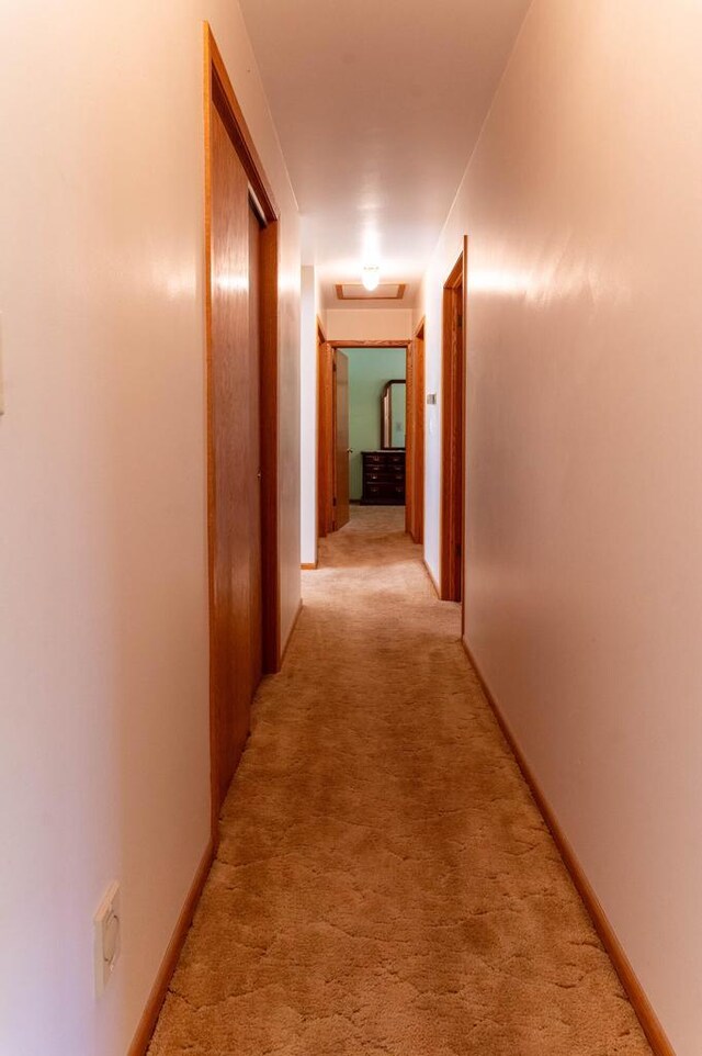 corridor featuring light carpet and baseboards