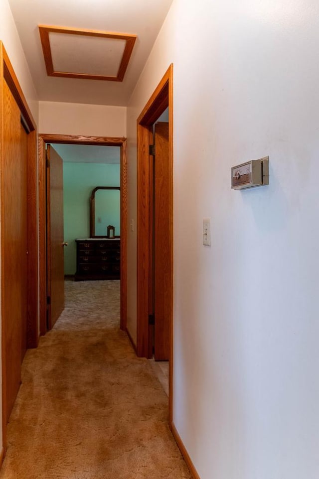 hall with light colored carpet and attic access