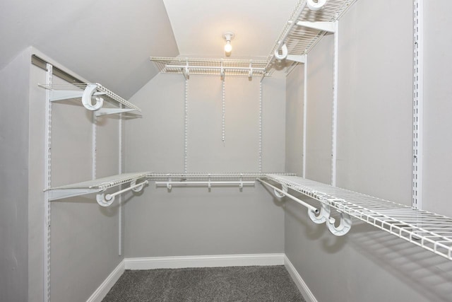 spacious closet featuring carpet floors