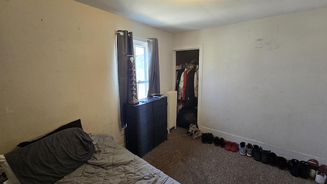 bedroom with a closet and carpet flooring