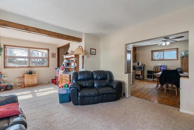 carpeted living area featuring ceiling fan and a textured ceiling