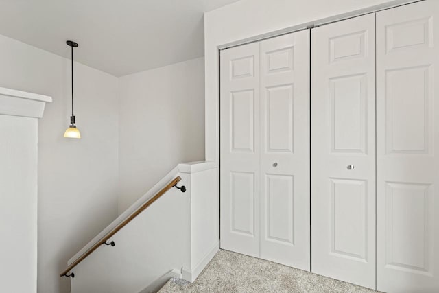 stairway featuring carpet flooring