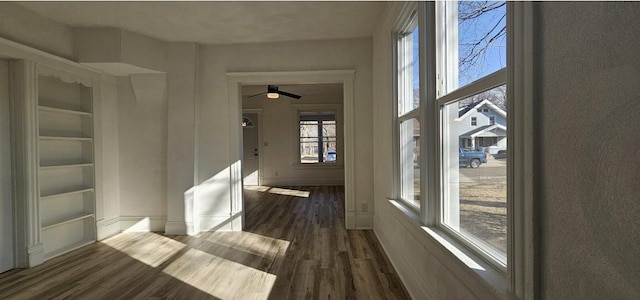 interior space featuring dark wood-type flooring