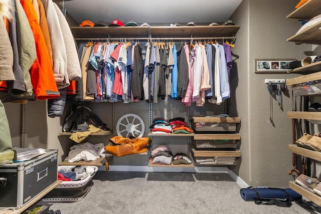 walk in closet featuring carpet flooring