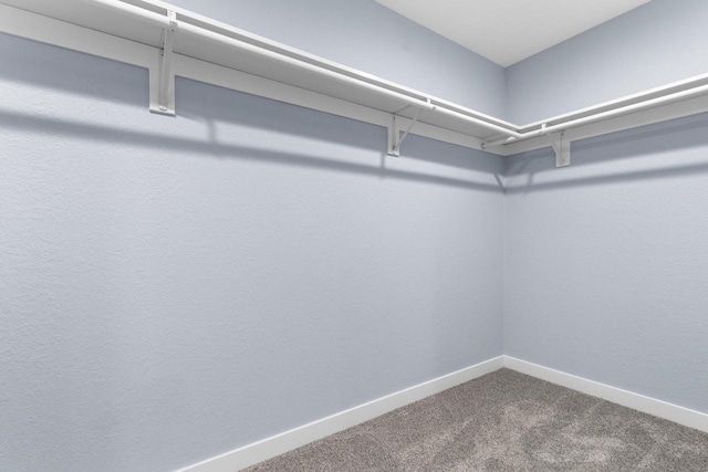 walk in closet featuring carpet