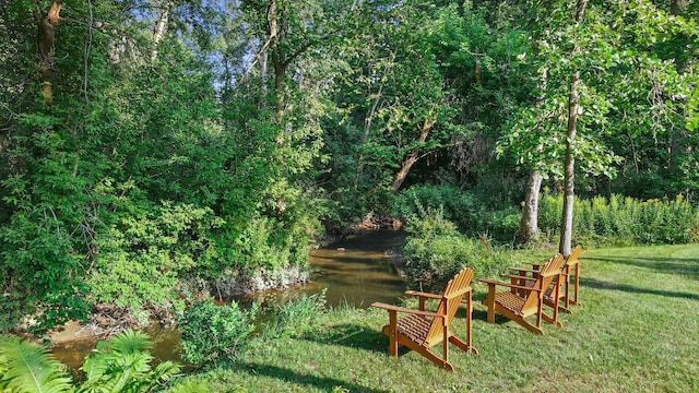 view of yard featuring a view of trees